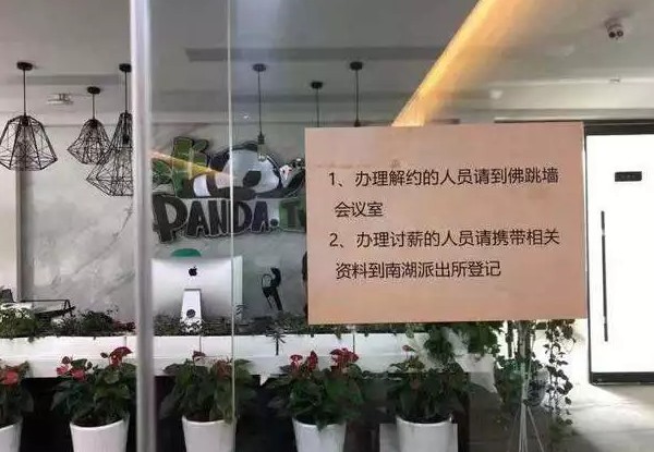 王思聪无力回天，熊猫直播宣布破产：这个价值百亿的教训将青史留名_行业观察_电商之家