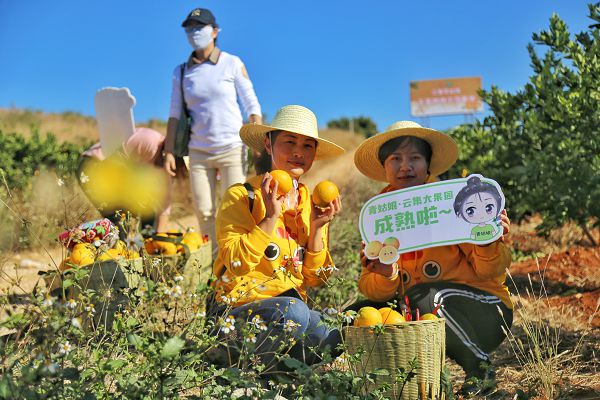 云集和云南建水县政府战略签约 打开高原脐橙线上零售新通路_行业观察_电商之家