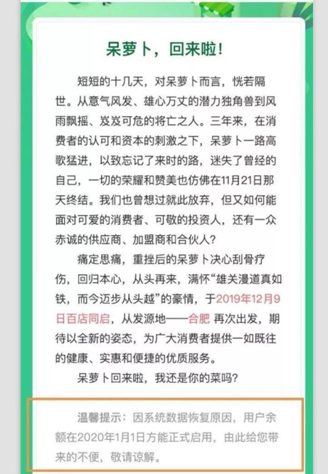 阿里前高管联合创业，呆萝卜“死而复生”!_人物_电商之家