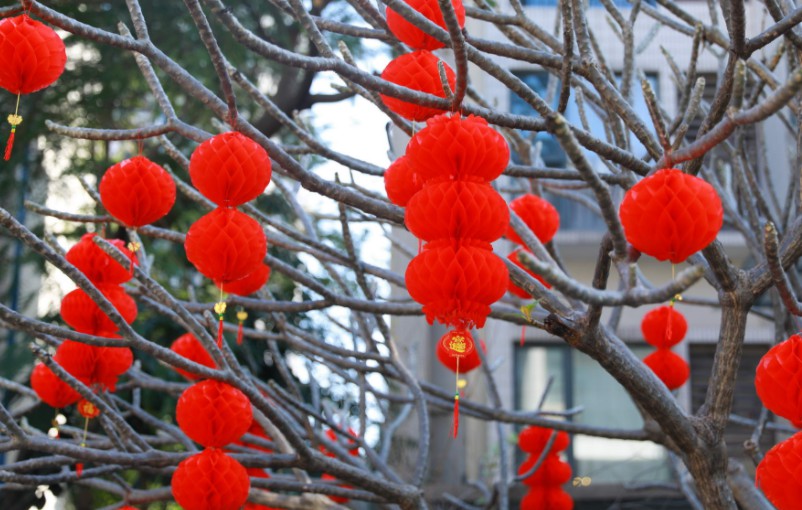 苏宁进入2020年年货节临战状态_零售_电商之家