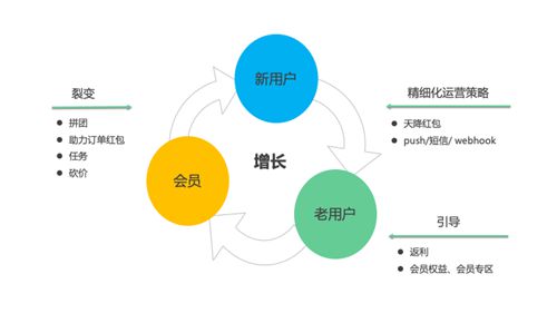 网红企业每日一淘携手神策数据，精细化运营效果提升10倍的幕后故事_行业观察_电商之家