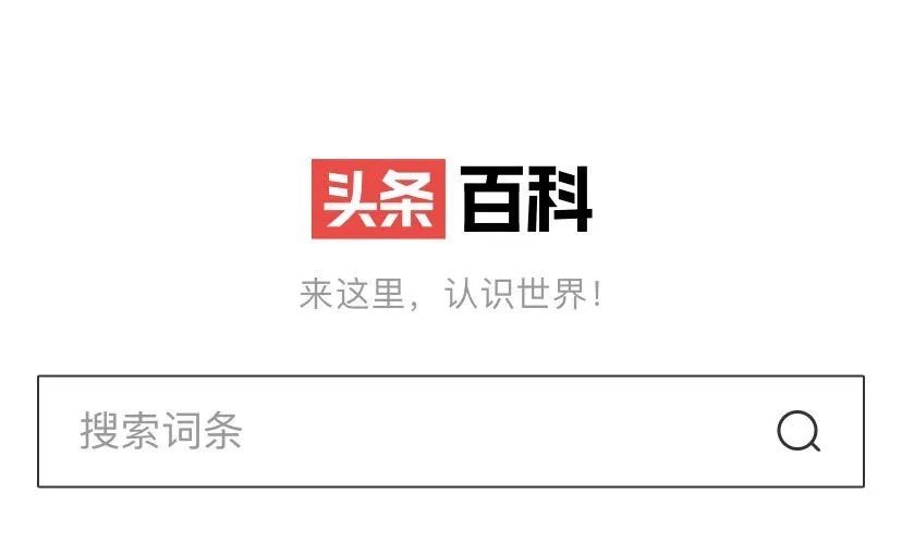 字节跳动入侵百度腹地：搜索不够，百科来凑！_行业观察_电商之家