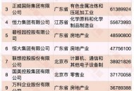 苏宁控股位列2020中国民营企业500强榜单第二